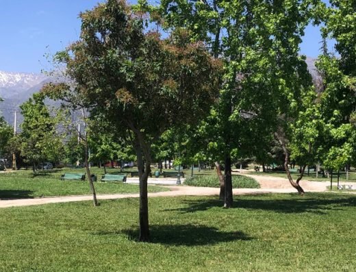 Parque Rojas Magallanes