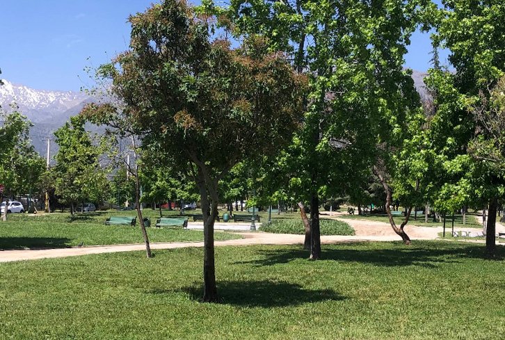 Parque Rojas Magallanes