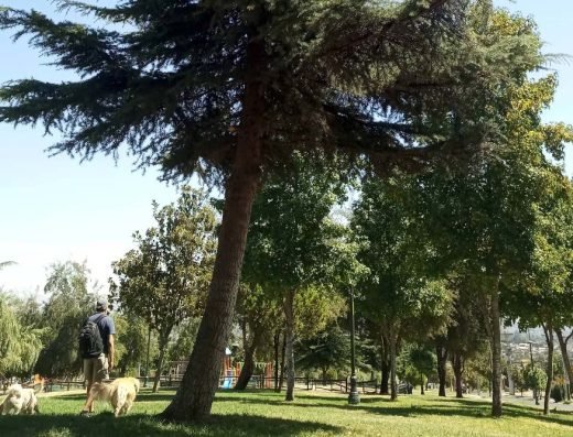 Parque Rojas Magallanes
